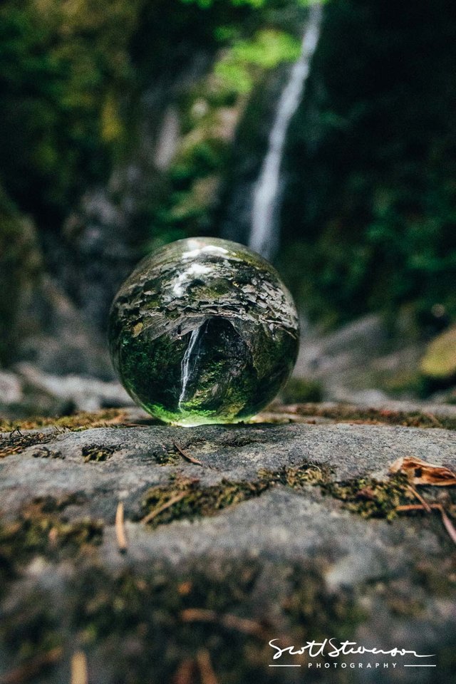 Goldstream Waterfall-1.jpg