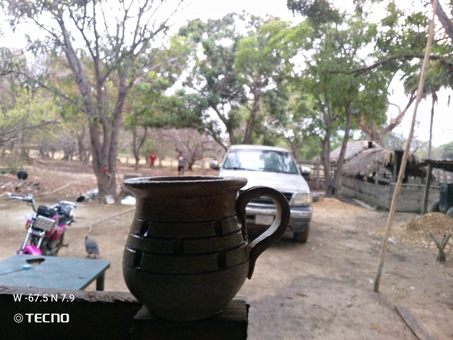 IMG_20250318_070755_200.jpg