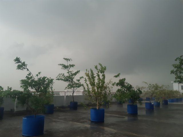 20250410_173401.jpg