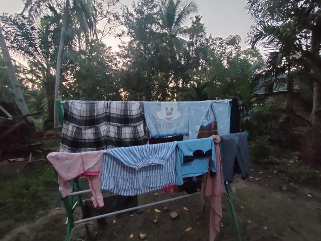 IMG20250212063619.jpg