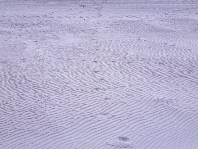 20250725_192720.jpg