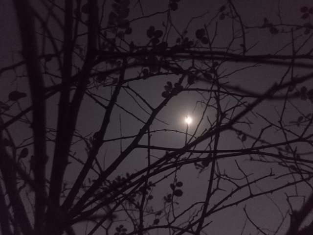 IMG20250213215844.jpg