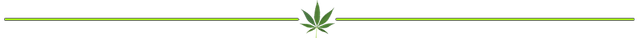 cannabis-divider-lime (1).png