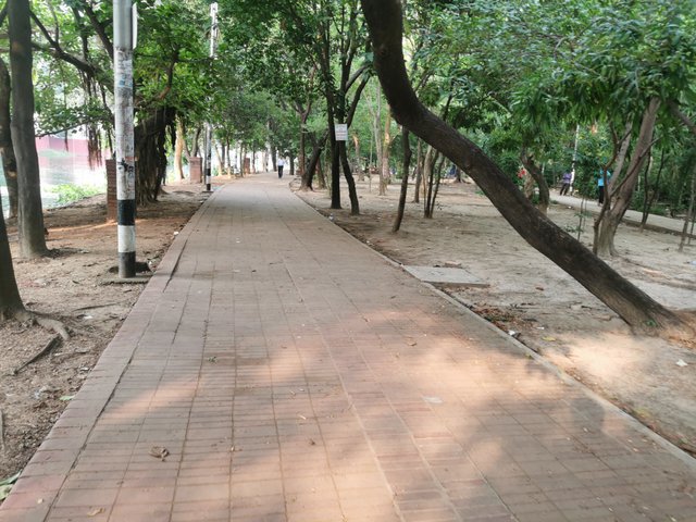 IMG_20240608_164404.jpg