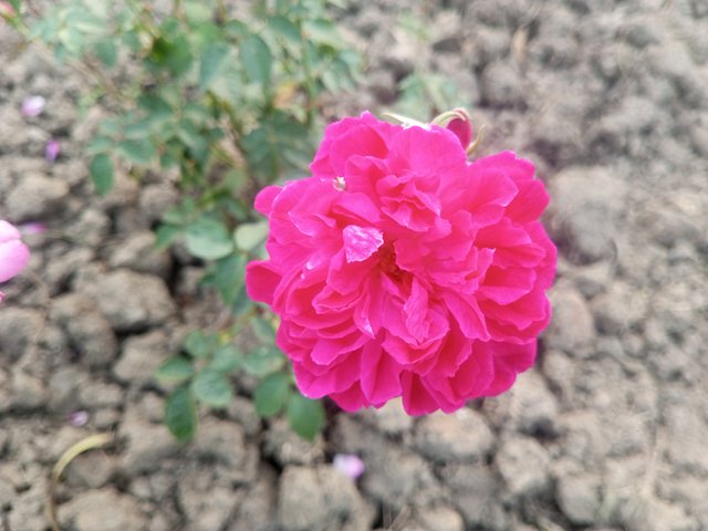 IMG_20241212_161251_911.jpg