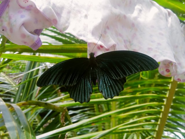 IMG20250507104313.jpg