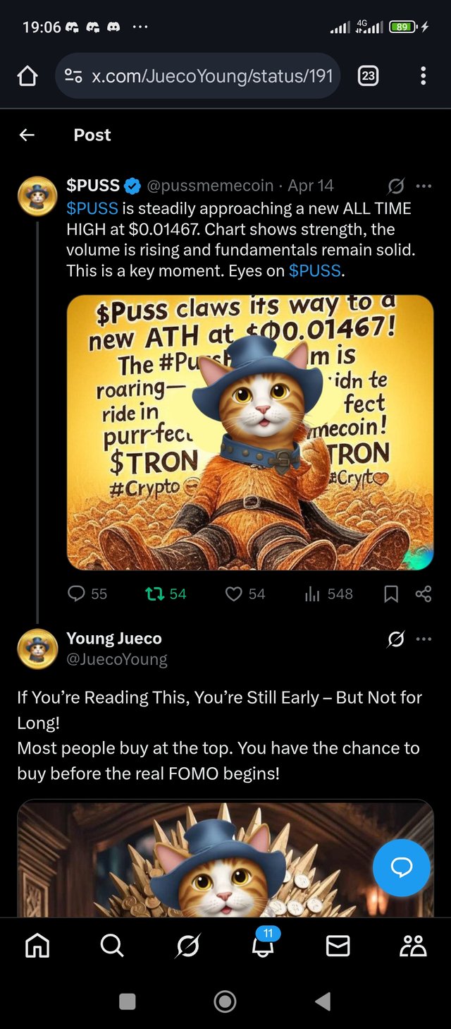 Screenshot_2025-04-16-19-06-06-925_com.android.chrome.jpg