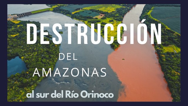 Destrucción del amazonas portada.jpg