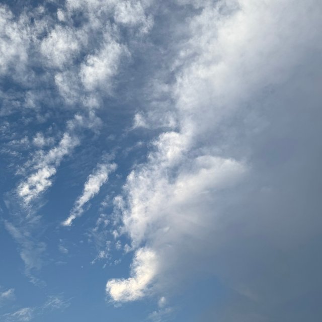 IMG_4897.jpeg