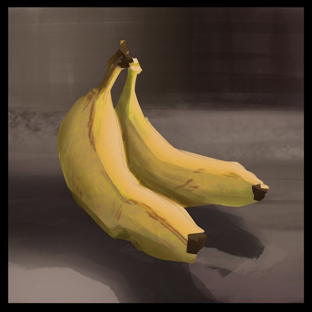 nanner-light-and-shadow-plussed.jpg