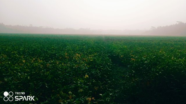 InShot_20250928_173332088.jpg