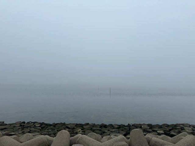 IMG_6223.jpeg