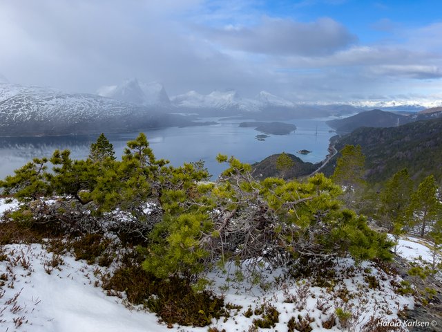 Efjord-10.jpg