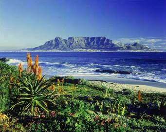 Table mountain South Africa.jpg