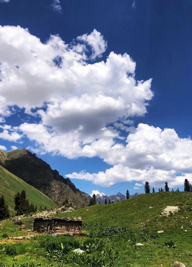 去到伊犁｜我好像突然懂得了旅行的意义_5_哈密瓜🍈de 旅行_来自小红书网页版.jpg