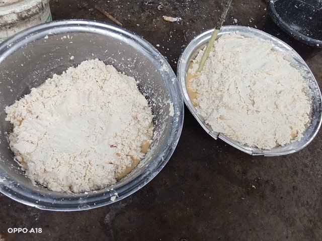 IMG20250426080118.jpg