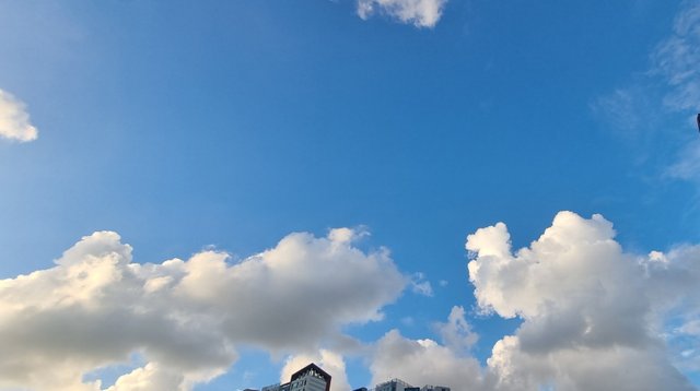20250722_191157.jpg