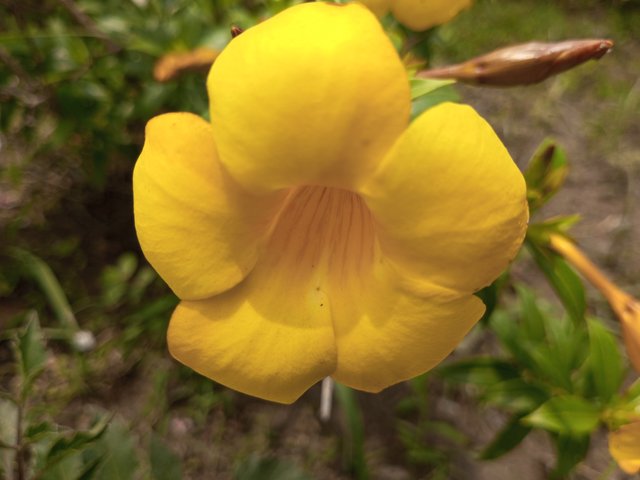 IMG_20250522_130029_664.jpg