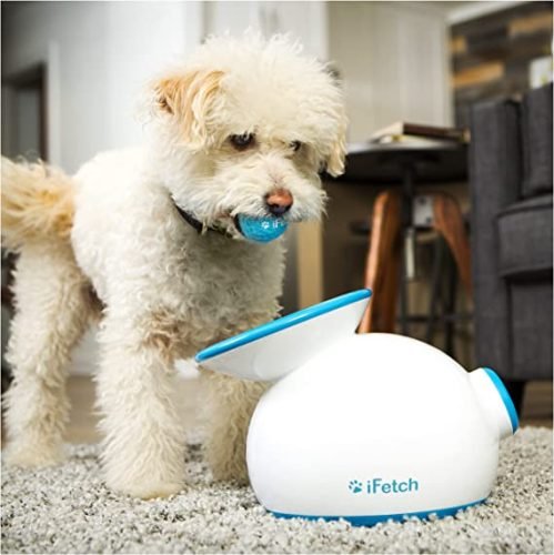 Automatic Ball Thrower For Dogs Indoor.jpg