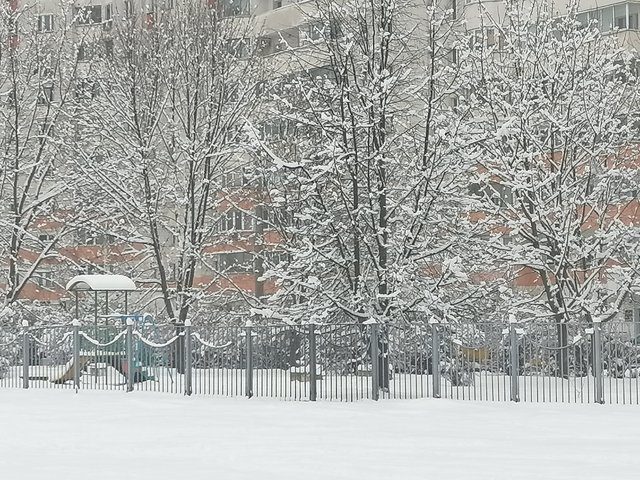 sneg.jpg