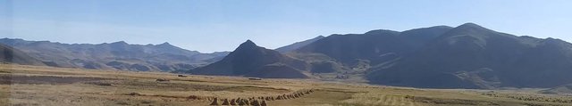 Andean Altiplano 2.jpg