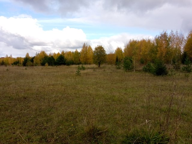 IMG_20251002_123533_017.jpg