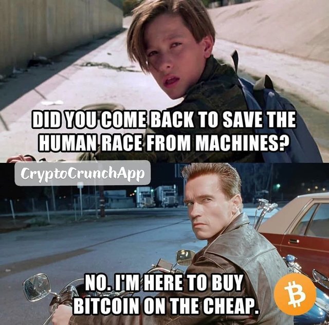 bitcoin-meme-terminator.jpg