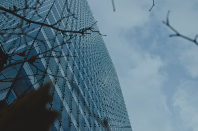 The glass abstract building through the trees.JPG