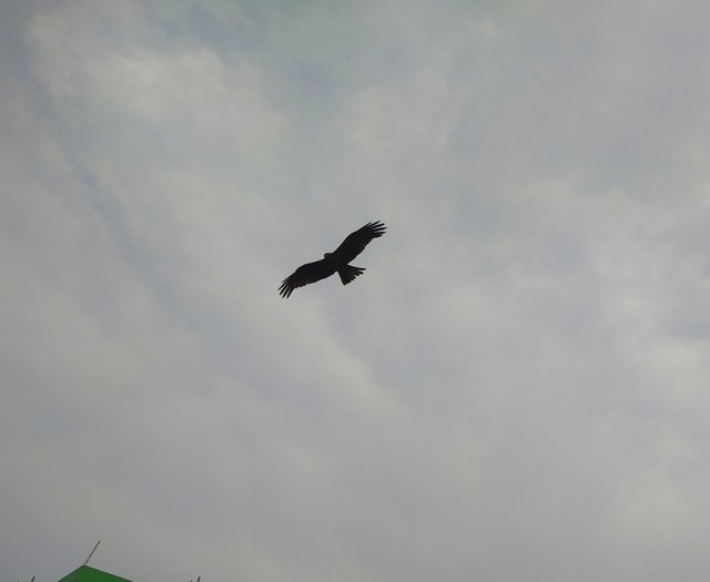 IMG_20230523_072338.jpg