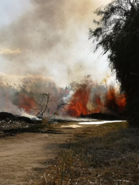 пожар Ларнака май 2020 (11).jpg