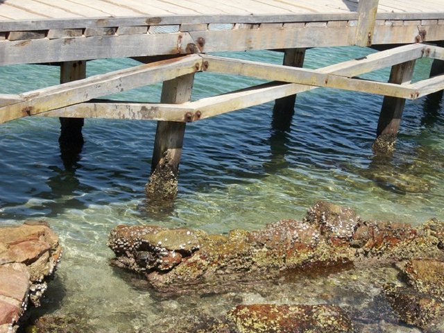 Puente en Las Maritas (Mochima).jpg