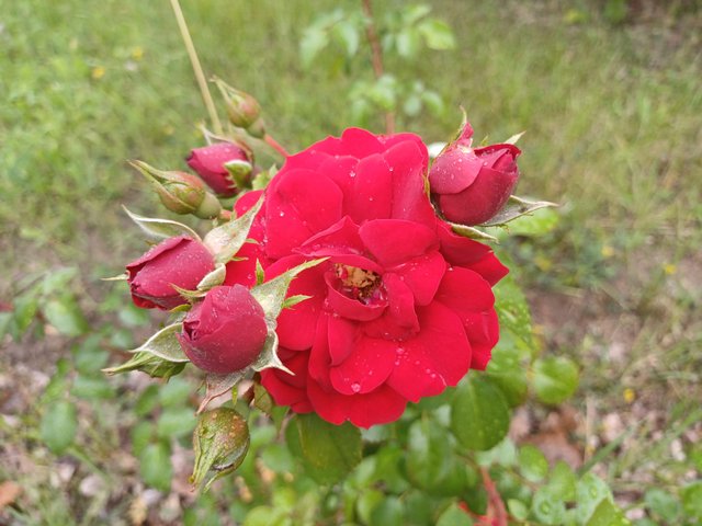 20250705_080502.jpg