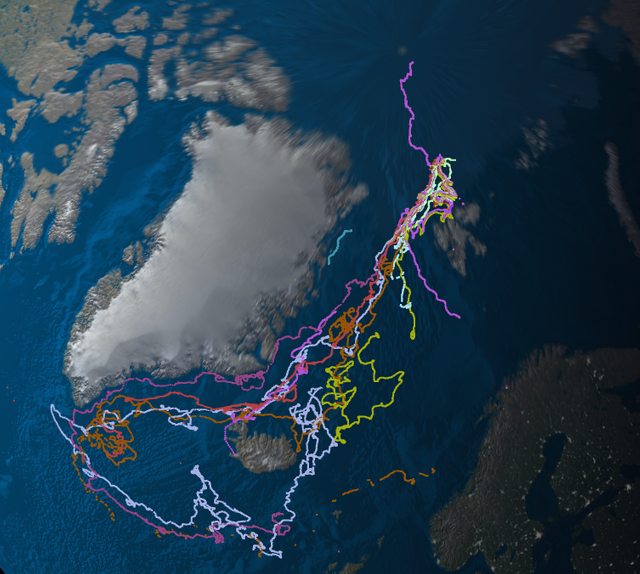 N-ICE2015-buoys-globus-overview.png