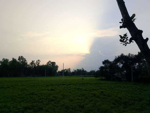 1000040542.jpg