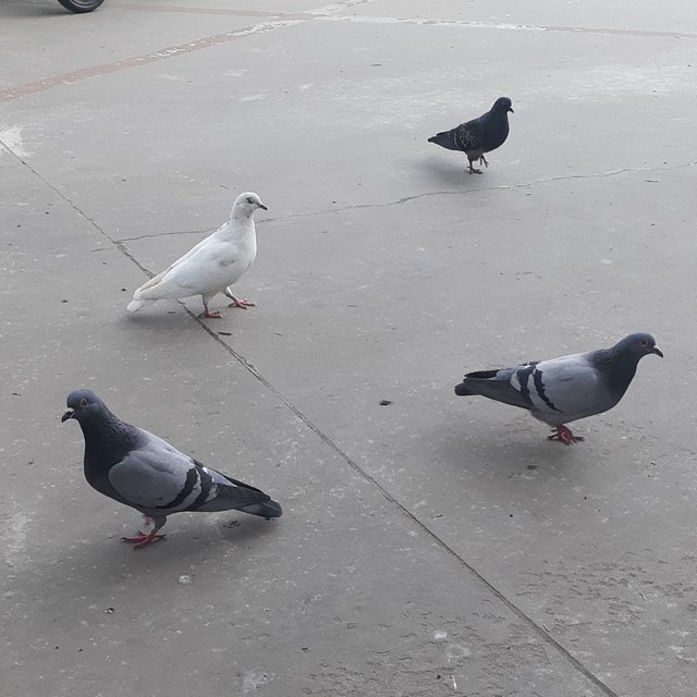 20220509_121736.jpg