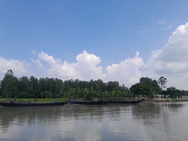 1000080416.jpg