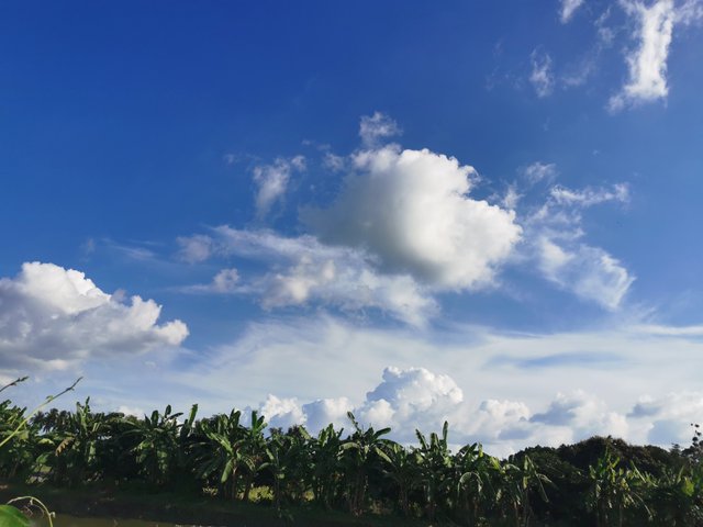 IMG_20240908_162557.jpg