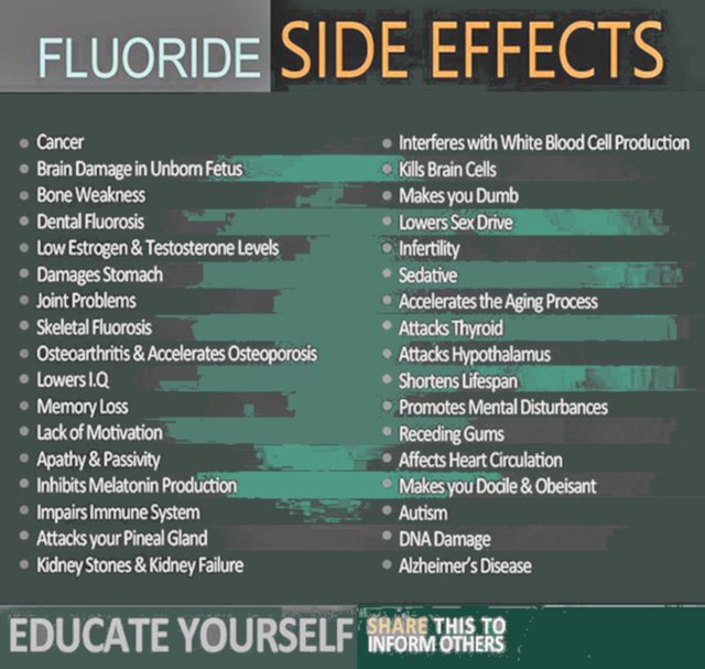 fluoride-brain63_02.jpg