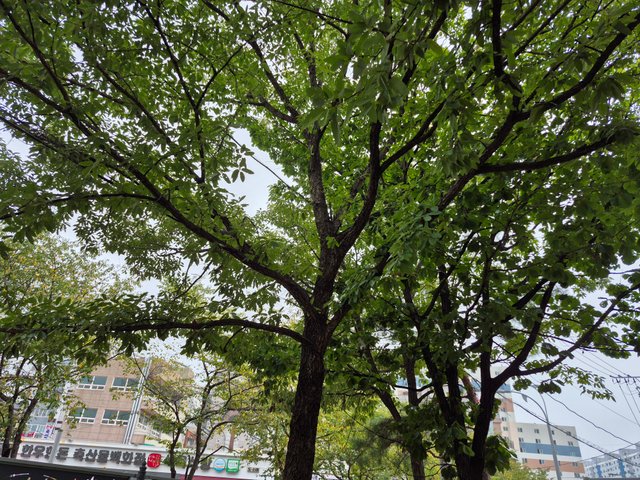 20250831_131830.jpg