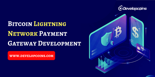 Bitcoin Lightning   Network Payment   Gateway Development (1).png