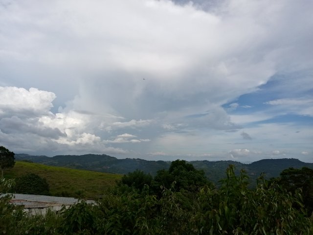 IMG_20250731_170534_376.jpg