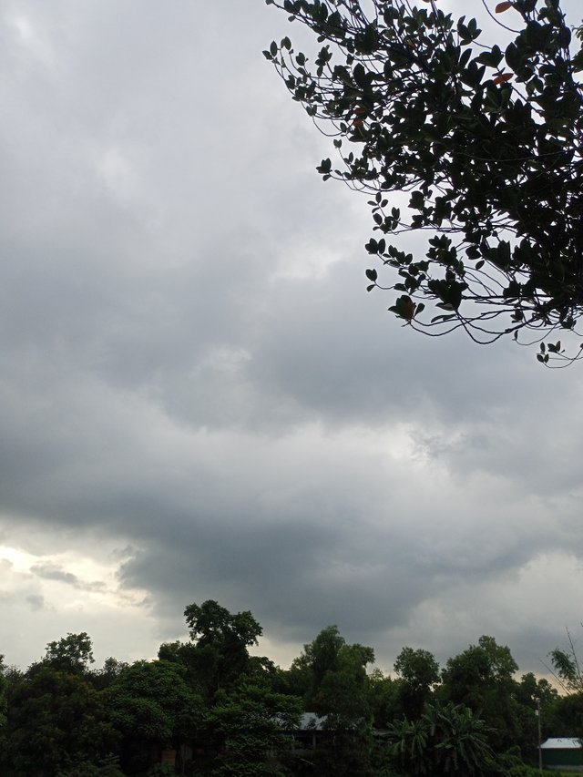 IMG20250729164604.jpg