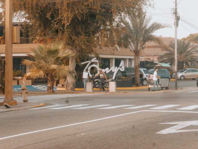 P1310625.jpg