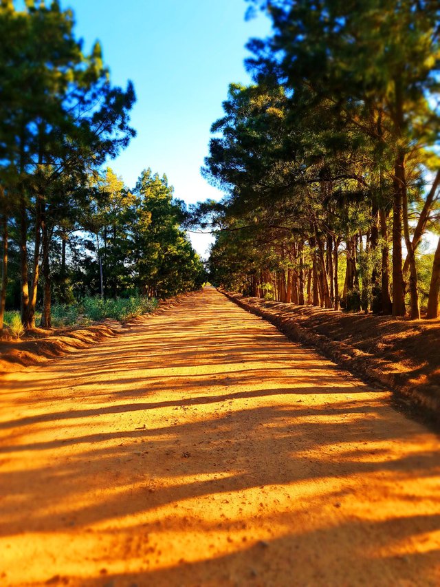 overberg road.jpeg