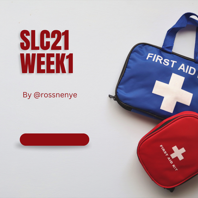 Red and White Classic First AID Day Social Media Graphic.png