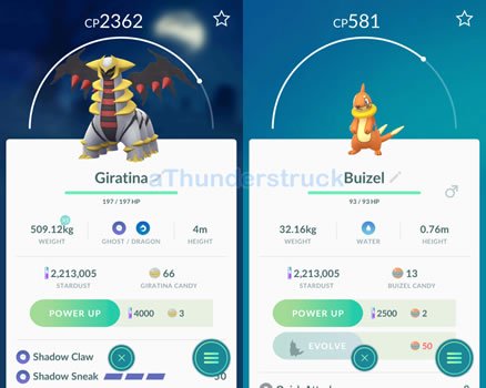 Giratina and Buizel Raid.jpg