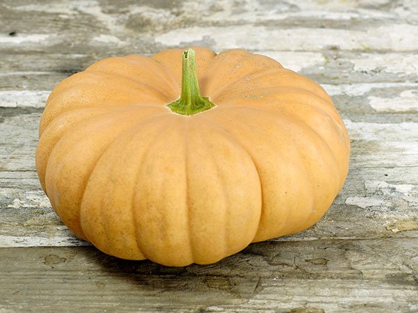 Long-Island-Cheese pumpkin squash.jpg