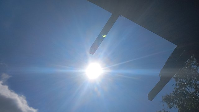 20231014_141957.jpg