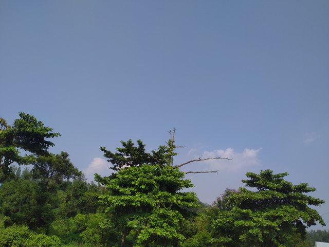 IMG20221027130544.jpg