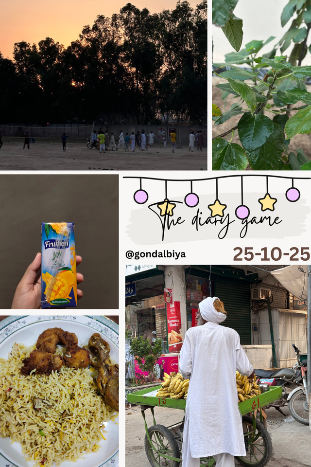 Ivory Beige Pet Pictures Photo Collage _20251026_005816_0000.png